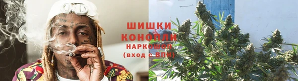 стаф Ладушкин