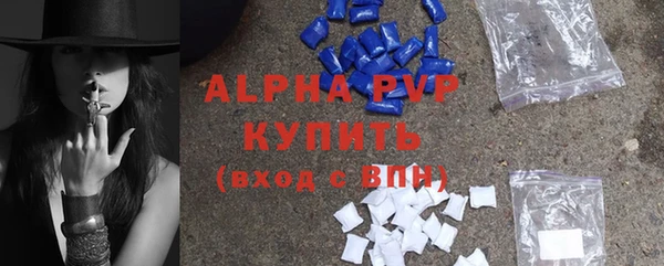 стаф Ладушкин