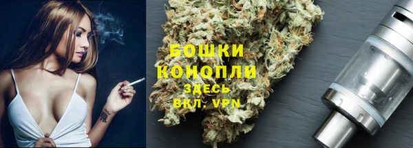 Альфа ПВП Лагань