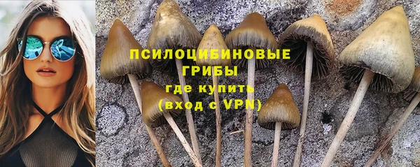 стаф Ладушкин