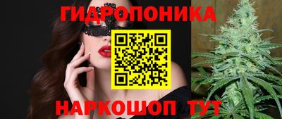 jwh Кимры