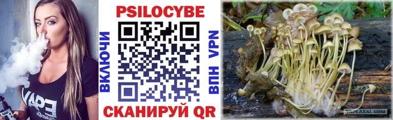 продажа наркотиков  Ростов-на-Дону  mega ссылка  Псилоцибиновые грибы MAGIC MUSHROOMS 