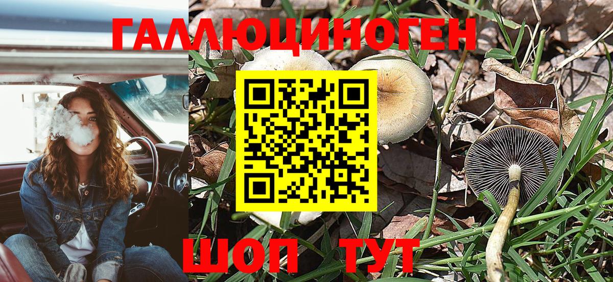 Галлюциногенные грибы мухоморы  Ростов-на-Дону 