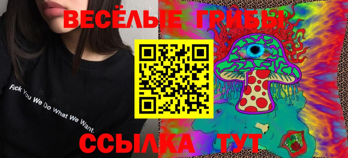 Галлюциногенные грибы Psilocybine cubensis  Псилоцибиновые грибы прущие грибы  Ростов-на-Дону  Вход с VPN 