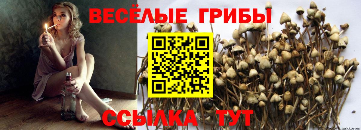 Псилоцибиновые грибы ЛСД Ростов-на-Дону